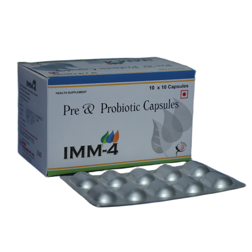 IMM 4