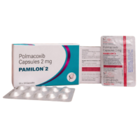 PAMILON 2
